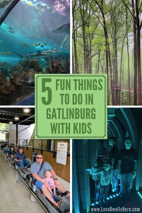 Tennessee Family Vacation, Things To Do In Gatlinburg, Gatlinburg Tennessee Vacation, Midwest Vacations, Smokey Mountains Vacation, Ober Gatlinburg, Gatlinburg Vacation, Tennessee Travel, Tennessee Vacation