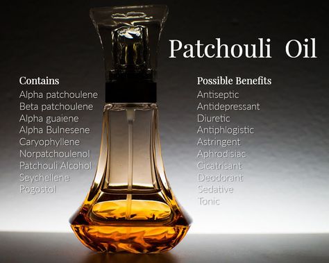 While many essential oils undergo professional distillation, it’s still possible to extract patchouli oil from your own fresh herb plants. https://www.thegrowers-exchange.com/Patchouli_p/her-pat01.htm Medical Plants, Herbal Health, Herb Plants, Essential Oil Beauty, Garden Hacks, Patchouli Oil, Essential Oil Blends Recipes, Oil Perfume, Patchouli Essential Oil