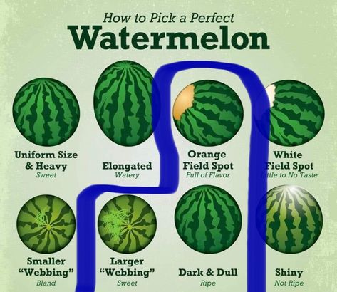 How To Tell If A Watermelon Is Good, Food Saver Hacks, Watermelon Nutrition Facts, Amazing Food Hacks, Healthy Food Facts, Fruit Dishes, Food Saver, Food Info, Sweet Snacks Recipes