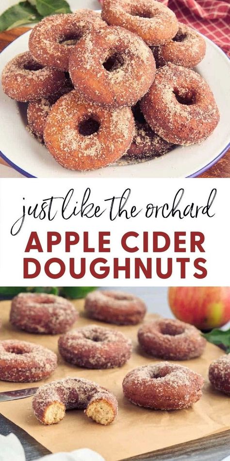 Apple Cider Doughnut Recipe, Cider Donuts Recipe, Apple Cider Donuts Recipe, Best Apple Cider, Fried Apple, Apple Cider Donuts Baked, Homemade Apple Cider, Donut Recipe, Donuts Recipe