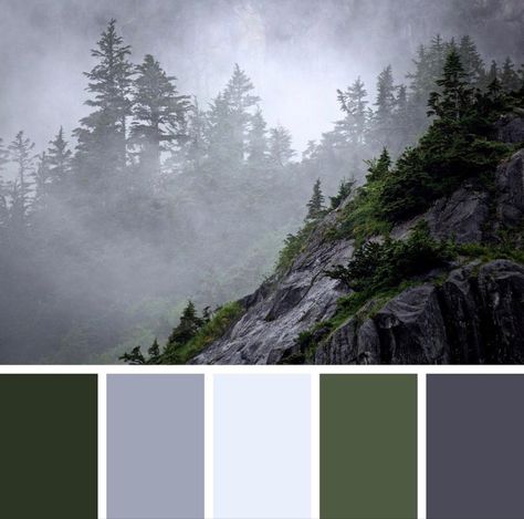 National Park Service on Instagram: “National parks are sporting hues of the season. What are some of your favorite park palettes?⁣⁣ 🎨🖌 Mountain Color Palette, Foggy Mountains, Kenai Fjords, Forest Color, Foggy Forest, Nature Color Palette, Forest Photography, Color Palette Design, Aesthetic Stuff