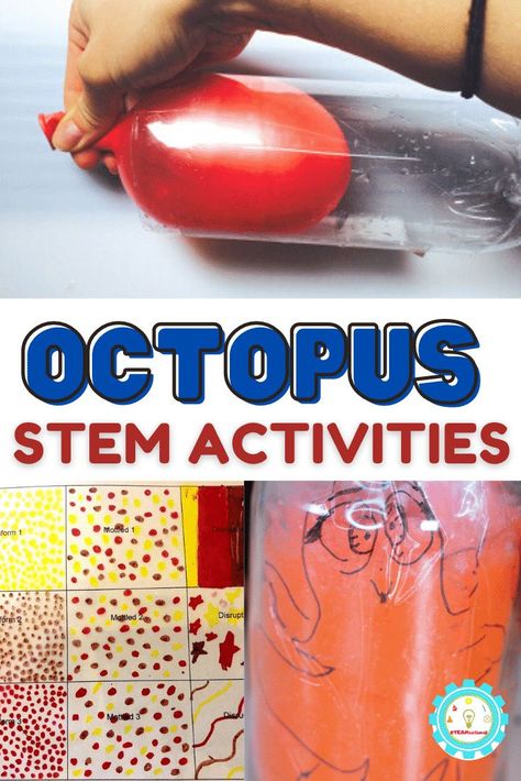 Check out the list below of our favorite octopus STEM activity ideas! You'll find octopus activities for science, octopus technology activities, octopus engineering activities, and octopus math worksheets! Animal Stem Activities Elementary, Octopus Stem Activities, Kindergarten Octopus Activities, Stem Ocean Activities, Stem Ocean Activities Elementary, Octopus Craft Kindergarten, Octopus Science Experiment, Ocean Stem Activities For Kids, Preschool Octopus Activities