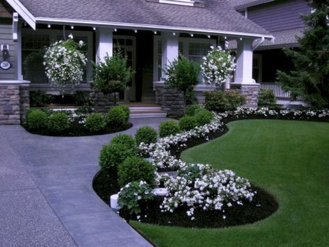 Curb Appeal Garden, Boxwood Landscaping, Yard Walkway, Front Yard Flowers, Villa Architecture, Front Yards Curb Appeal, Mulch Landscaping, Walkway Landscaping, Pathway Landscaping