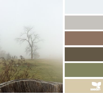 foggy tones (design seeds) Exterior Paint Combinations, Kitchen Cabinets Color Combination, Seeds Color, Color Concept, Paint Combinations, Room Color Schemes, Color Palate, Design Seeds, Color Balance