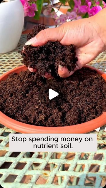 1,207 likes, 5 comments - garden_hacks_tips on June 23, 2024: "No need to buy nutritious soil anymore #gardening #garden #gardeningtips #gardenlife #gardeninspiration #gardenideas #gardenlove #gardendesign #gardenersofinstagram #gardenersworld #garden_styles #gardenphotography #gardenlovers #gardenerslife #gardenart #gardenbeauty #gardensofinstagram #gardenplants #gardenviews #gardenersparadise #gardenista #gardeningcommunity #gardenloversclub #gardenaddict #gardeners #gardenerslife". Tulasi Pot Designs Painting, Crab Cactus, Plant Remedies, At Home Garden, Water Plants Indoor, Fairy Garden Pots, Garden Hacks Diy, Hydroponics Diy, Garden Remedies