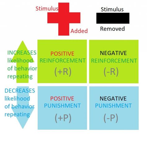 Negative Reinforcement, Applied Behavior Analysis, Behavior Analysis, Timing Is Everything, Best Answer, Positive Reinforcement, Positive And Negative, Math Teacher, Meant To Be