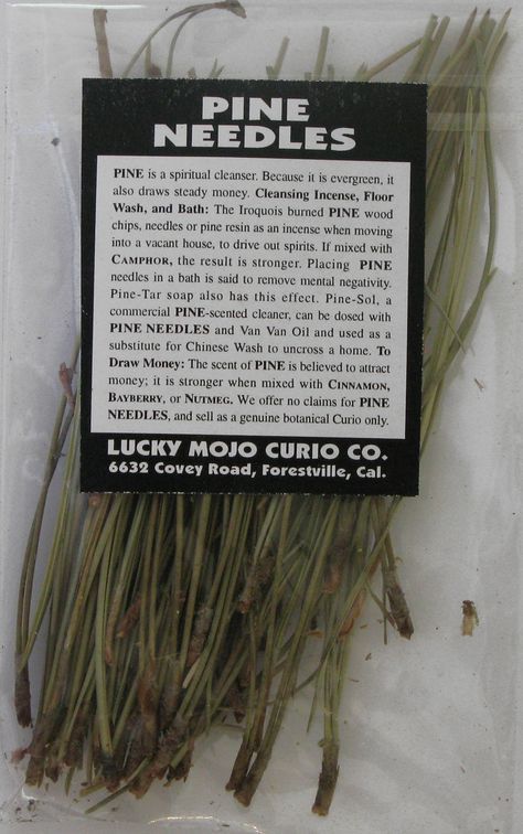 CLEANSING: -- Pine is a spiritual cleanser. Because it is evergreen, it also Draws Steady Money. Cleansing Incense, Floor Wash, and Bath: The Iroquois burned PINE Wood Chips, Needles or Pine Resin as an incense when moving into a vacant house, to Drive Out Spirits. Cinnamon Plant, Pack To Move, Cleansing Incense, Buckeye Nut, Pine Resin, Magickal Herbs, Witch Herbs, Magia Das Ervas, Magic Herbs