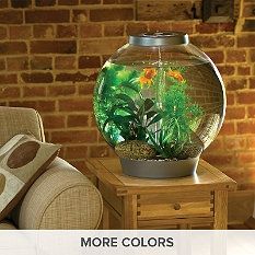 Specialty Aquariums - Fresh Water Aquariums - Unique Aquariums Amazing Aquariums, Aquaponics Diy, Bird Accessories, Aquarium Ideas, Home Aquarium, Fish Supplies, Aquarium Design, Fish Tanks, Aquarium Decor