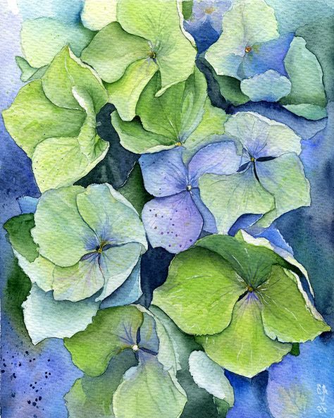 Hydrangea Home Decor, Hydrangea Art, Hydrangea Watercolor, Hydrangeas Art, Watercolor Hydrangea, Hydrangea Painting, Watercolor Flowers Tutorial, Watercolor Poster, Hydrangea Flowers