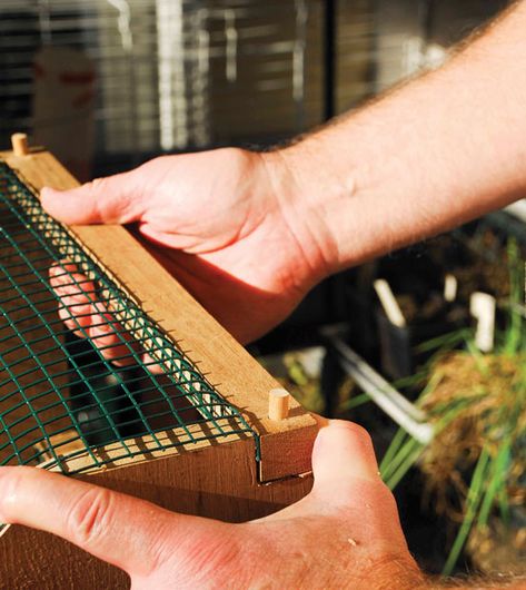 Diy Garden Trug Basket, Garden Trug Diy, Gathering Basket Diy, Diy Garden Basket, Diy Harvest Basket, Harvest Basket Ideas, Diy Wood Basket, Garden Basket Ideas, Egg Basket Diy