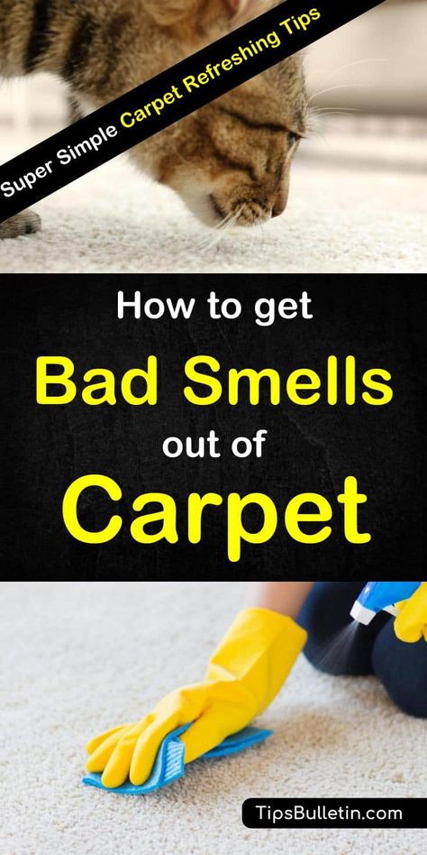 How To Get Rid Of Carpet Odor, Pet Oder In Carpet, Remove Vomit Smell From Carpet, How To Remove Pet Odor From Carpet, Getting Rid Of Dog Urine Smell In Carpet, How To Remove Smell From Carpet, How To Get Urine Out Of Carpet, How To Get Rid Of Pee Smell In Carpet, How To Get Rid Of Pet Urine In Carpet