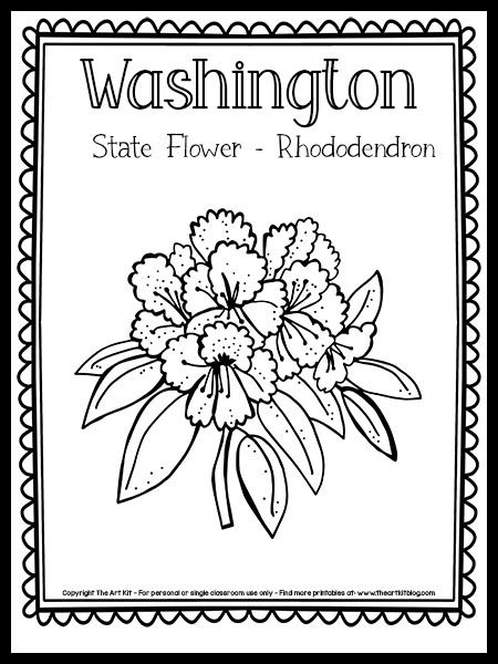 Washington State Flower Coloring Page - Rhododendron {FREE Printable!} - The Art Kit Washington State Coloring Pages, Washington State Flower Tattoo, 50 States Coloring Pages, Washington State Tattoo, State Flower Tattoo, West Virginia State Flower, Washington State Flower, West Virginia Tattoo, Virginia State Flower