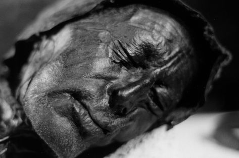 Europe’s well-preserved bog bodies surrender their secrets | Science | AAAS Tollund Man, Bog Body, Ritual Sacrifice, Peat Bog, Iron Age, Interesting History, Northern Europe, Ancient Cultures, Memento Mori