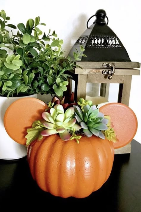 Disney Halloween Diy, Disney Halloween Decorations, Mouse Pumpkin, Succulent Pumpkin, Disney Diy Crafts, Succulent Planter Diy, Pumpkin Planter, Mickey Mouse Pumpkin, Hallowen Ideas