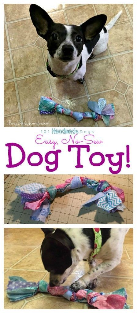 101 Handmade Days: Scrap Fabric Dog Toy & Canine DNA Testing - Busy Being Jennifer #ad Homemade Dog Toys, Puppy Obedience Training, Diy Dog Toys, Positive Dog Training, Basic Dog Training, Toys Diy, Best Dog Training, Dog Crafts, Scrap Fabric