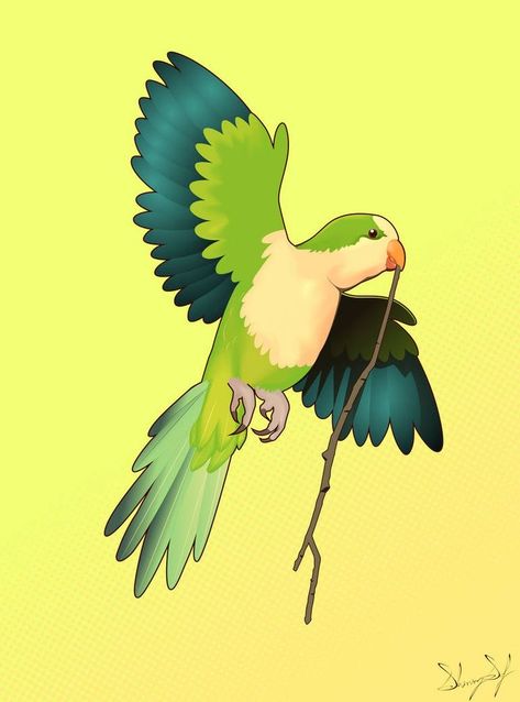 Parrot Tattoo, Monk Parakeet, Llama Face, Parrots Art, Cute Disney Drawings, Paisley Art, Colorful Parrots, Character Design Sketches, Funny Birds