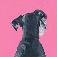 Schnauzer Background, Schnauzer Painting, Puppy Room, Schnauzer Art, Creative Drawing Prompts, Pet Vet, Canvas Painting Designs, Mini Schnauzer, Miniature Schnauzer