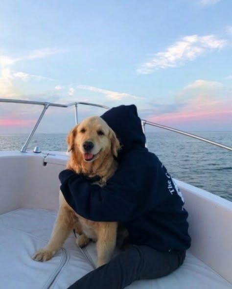 Dogs On Boats, Very Cute Dogs, Really Cute Dogs, Cute Animals Images, Animals Cute, Golden Retrievers, Fluffy Animals, Animals Images, Cute Little Animals