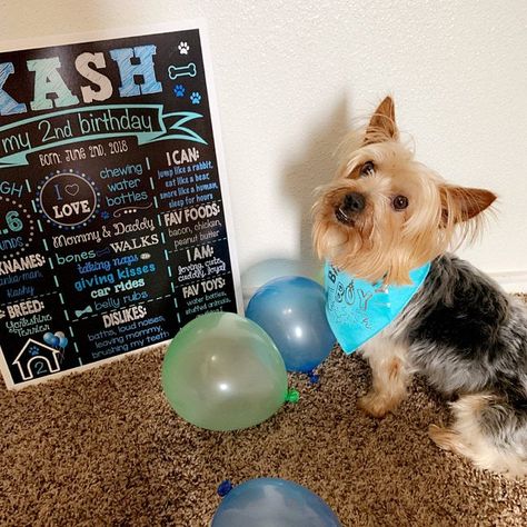 Love love love this! Seller was AMAZING, awesome communication and I LOVED the poster. ❤️❤️❤️ Dog Party Decorations, Kindergarten Sign, Party Chalkboard, Dog First Birthday, School Date, First Birthday Chalkboard, School Chalkboard, Birthday Items, Birthday Chalkboard