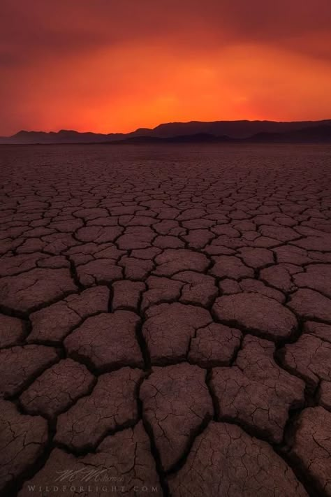 Barren by Mark Metternich Storm Landscape, Barren Landscape, Dead Forest, Photoshop Video, Dust Storm, River Bed, Best Architects, Orange Light, Photoshop Cc