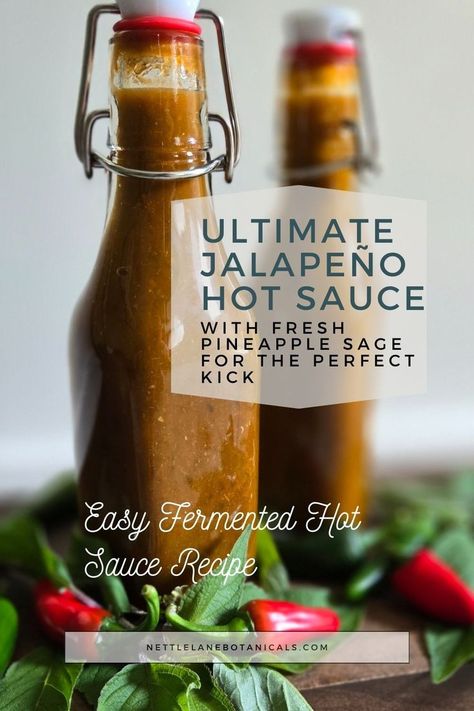 Fermented jalapeño hot sauce in a bowl, infused with fresh pineapple sage. A tangy, zesty, and bold plant-based recipe perfect for spice lovers and those interested in fermentation. Learn how to make this easy fermented hot sauce at home. Jalapeno Hot Sauce Recipe, Jalapeño Hot Sauce, Fermented Hot Sauce Recipe, Fermenting Weights, Fermentation Crock, Pineapple Sage, Hot Sauce Recipes, Fresh Pineapple, Garden Recipes