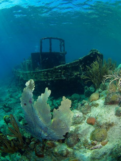 Ocean Treasure Underwater Shipwreck, Underwater Ruins, Underwater Painting, Under The Ocean, Underwater Art, Abandoned Ships, Water Boat, Art And Photography, Matte Painting