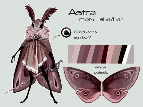 Humanoid Moth Oc, Hollow Knight Butterfly, Moth Dnd Character, Hollow Knight Moth Oc, Moth Oc Art, Moth Oc, Hollow Knight Oc, Knight Oc, Brown Moth