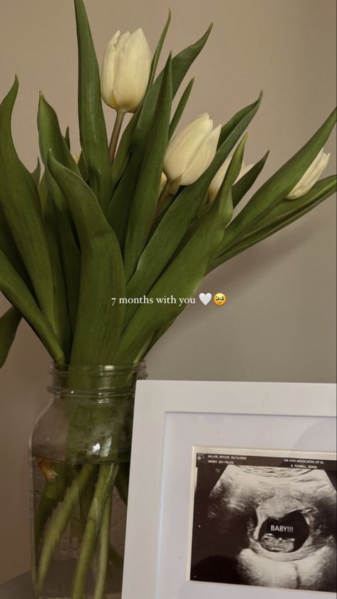 ultrasound / milestones / mom-to-be / baby coming soon / expecting / spring time / tulips / picture frames / simple / baby announcements /  inspo / ideas / pregnancy / document / keepsakes / memories / love / instagram story / captions / baby coming soon / counting down / welcome baby / adding to the family / growing Tulips Picture, Instagram Story Captions, Love Instagram Story, Story Captions, Baby Coming Soon, Ultrasound Pictures, Easy Frame, Baby Announcements, Baby Coming