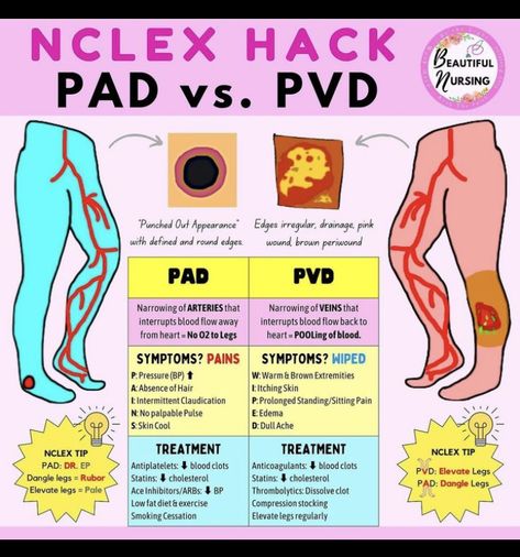 Vascular Disorders Nursing, Gi Meds Nursing, Pad Vs Pvd Nursing, Urinary Elimination Nursing School, Nursing Cardiovascular, Pad Nursing, Nursing School Prep, Nursing School Studying Cheat Sheets, Nurse Skills