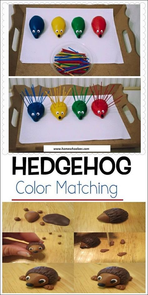 Use the coloured number sticks and make quills for the hedgehogs according to their colours. the quills and hedgehogs should be in same colour. For example, my daughter took the red stick and stick it in the red hedgehog. Then we uttered that that colour is red. This activity was also educatory about the development of fine motor skills.#colormatching #hedgehog #finemotor Hedgehog Colors, Fine Motor Activities For Kids, Homeschool Crafts, Toddler Development, Matching Activity, Toddler Learning Activities, Fine Motor Activities, Montessori Activities, Toddler Learning