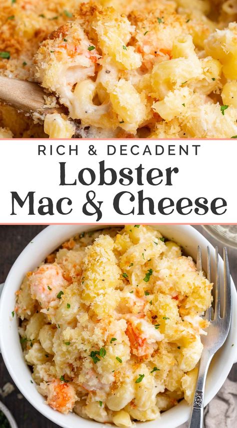 Creamy, decadent lobster mac and cheese is perfect for any holiday, date night, or special occasion. Luscious lobster meat and a rich sauce made with two types of cheese transform ordinary macaroni into a delectable, gooey, baked mac and cheese that's guaranteed to impress. Lobster Mac N Cheese Recipe, Bake Mac And Cheese, Lobster Mac, Lobster Mac And Cheese, Mac Cheese Recipes, Lobster Meat, Lobster Recipes, Baked Mac, Mac N Cheese Recipe