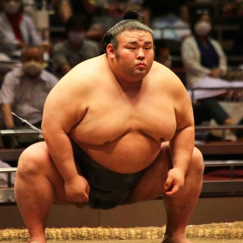 People Anatomy, Japan Travel Destinations, Sumo Wrestler, Beautiful Art Pictures, Big Belly, Figure Poses, Big Men, Top Photo, Japan Travel