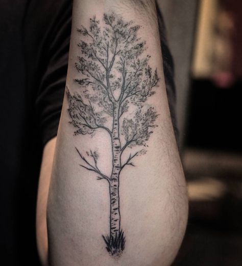 Quaking Aspen. Now imagine this with color on the lowest branches (green) and moving up to yellow until the branches are bare at the very top Aspen Tattoo, Aspen Tree Tattoo, Burch Tree, Birch Tree Tattoo, Aspen Trees Tattoo, Birch Tree Tattoos, Trees Tattoo, Silver Birch Tree, Tree Sleeve Tattoo