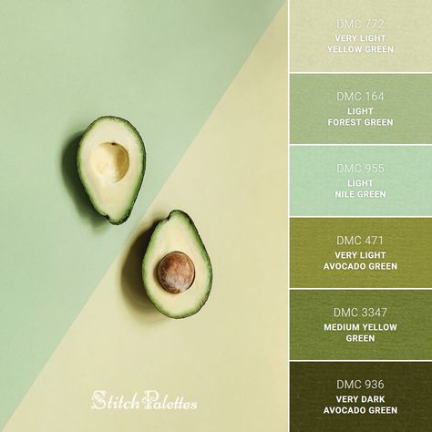 Avocado Awesomeness - Embroidery Color Palette (With Thread Codes) Light Forest Green, Light Forest, Hijau Mint, Color Schemes Colour Palettes, Green Palette, Paint Color Palettes, Green Colour Palette, Theme Color, Color Palette Design