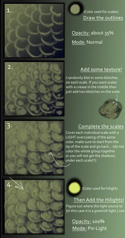 How To Draw Scales Mermaid, How To Draw Scales, Scales Tutorial, Scale Tutorial, Flight Of Dragons, Highlight Colors, Scale Drawing, Anatomy Tutorial, Creature Drawings