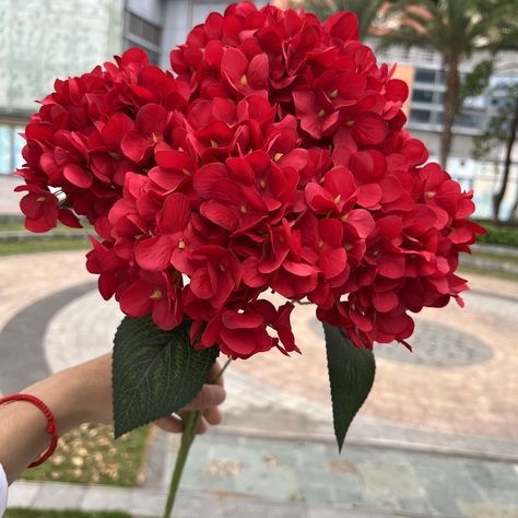 Wholesale 5 Forks Pink White Flowers Hydrangeas Large Size Silk Hydrangeas Flowers Artificial Wedding For Decorations https://m.alibaba.com/product/1600737018944/Wholesale-5-Forks-Pink-White-Flowers.html?__sceneInfo={"cacheTime":"1800000","type":"appDetailShare"} Hydrangeas Flowers, Hydrangea Pink, Large Hydrangea, Wedding Flowers Hydrangea, Flowers Hydrangea, Artificial Wedding Flowers, Pink White Flowers, Hydrangea Blue, Red Hydrangea