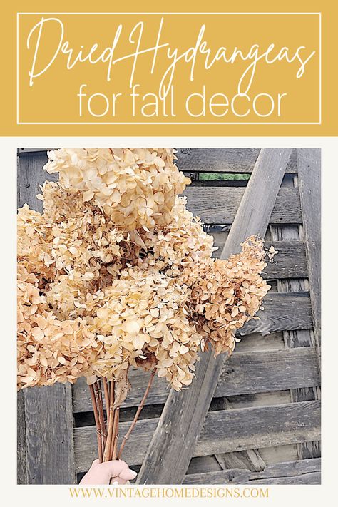 Decorating With Dried Hydrangeas Fall, Foraged Fall Arrangement, Arrangements With Dried Hydrangeas, Dry Hydrangeas Decor, Dried Limelight Hydrangeas, Hydrangea Fall Decor, Dried Hydrangea Christmas Decor, Dried Hydrangea Arrangements Home Decor, Wheat Decorations Decorating Ideas