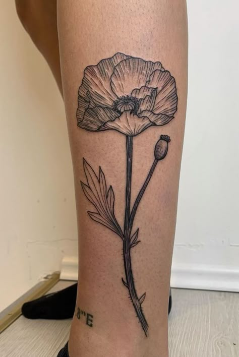 Moth And Poppy Tattoo, Traditional Poppy Tattoo Black, Black And Gray Poppy Tattoos, Mens Poppy Tattoo, Ranaculus Flowers Tattoo, Poppy Plant Tattoo, Large Poppy Tattoo, Matilija Poppy Tattoo, Poppy Leg Tattoo