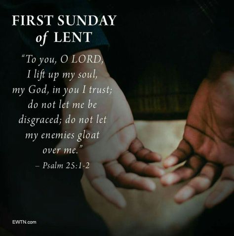 First Sunday in Lent Lent Days Quotes, Lent Bible Verses, When Does Lent Start, Lenten Quotes, Lent Quotes, Sunday Bible Verse, Lent Ideas, Birthday Wishes For A Friend Messages, Lent Devotional