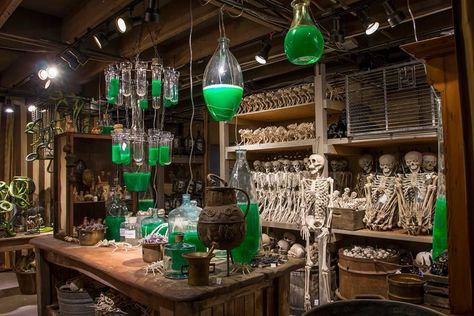 🍁 🎃 Décorations d’intérieurs d’halloween - Laboratoire de potions 🍂 🎃 Inspiration de Décorations & design d’intérieur d’halloween #halloween #decorations #idmaison #inspirationmaison #designinterieur #habitation #vivahabitation #iddeco #deco #Inspirationdeco #design #interieur #tendances Food Garden Aesthetic, October Pumpkins, Paint Pumpkin, Mad Scientist Halloween, Mad Scientist Lab, Halloween Party Food, Food Halloween, Rogers Gardens, Casa Halloween