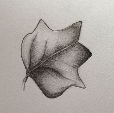 Tulip tree leaf sketch Leaf Shading Drawing, Leaf Sketches Simple, Leaf Sketch Pencil Simple, Leaves Shading Pencil, Nature Sketches Pencil, Carrot Drawing, Leaf Sketch, Nature Sketches, Leaves Sketch