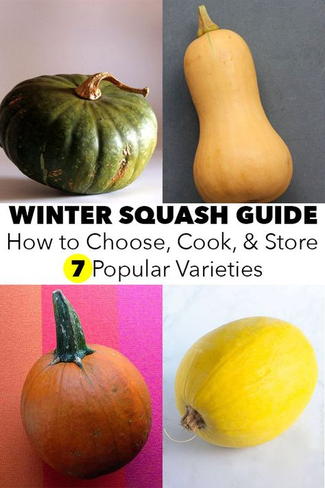 There are so many types of squash! This winter squash guide walks you through what you need to know about choosing, storing, and cooking common varieties. Different Types Of Squash Summer, How To Store Squash For Winter, Squash Varieties Types Of, Squash Varieties Chart, How To Cook Different Types Of Squash, Types Of Winter Squash, Pumpkin Varieties Chart, Types Of Squash Different, How To Cook Acorn Squash