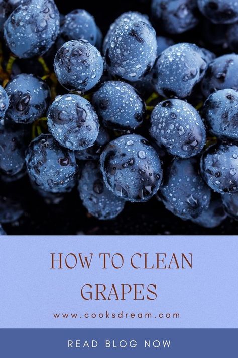 The journey from the vineyards to our supermarkets is a long one, so of course grapes are exposed to all sorts of outside elements. Knowing how to clean grapes is necessary if you want to eat this member of the dirty dozen gang. | Should I Wash Grapes Before Eating? | What Do You Soak Grapes in to Clean Them? | #grapes # fruit #vineyard Clean Grapes, Wash Grapes, Grapes Fruit, The Dirty Dozen, Dirty Dozen, Cleaner Recipes, Black Grapes, What To Use, Fermenting