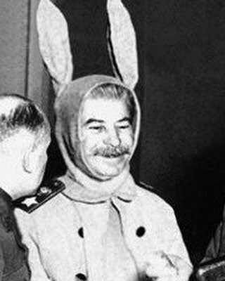 Joseph Stalin, History Jokes, Funny Profile, Funny Profile Pictures, Reaction Pictures, Mood Pics, Dankest Memes, Funny Images, Really Funny