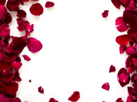 Romantic red rose petals on white backgr... | Premium Photo #Freepik #photo #background #pattern #flower #frame Red Rose With White Background, Colorful Candy Bar, Photo Romantic, Romantic Room Decoration, Product Background, Yellow Bouquets, Romantic Room, Romantic Background, Red Rose Petals