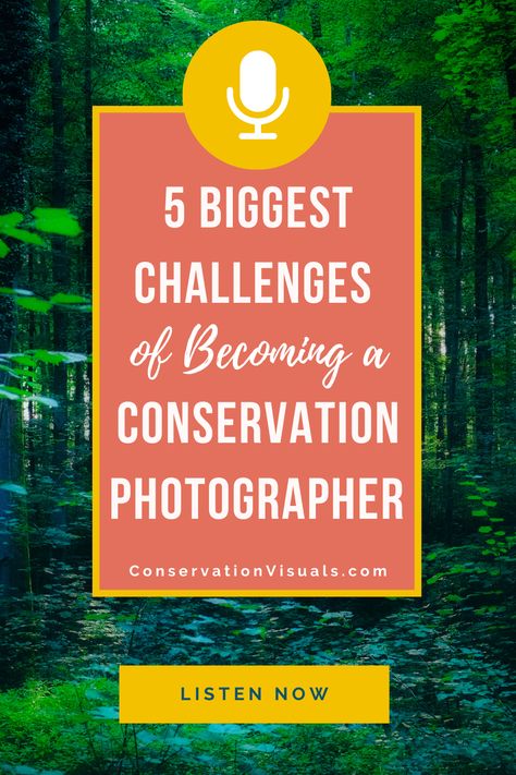 If you're ready to do something MORE with your nature and wildlife photography, conservation photography is the perfect niche. Get started with momentum by avoiding these 5 most common challenges. In this article + podcast episode, I walk you through 5 of the most common challenges nature photographers face when starting out, and provide tips on how to overcome them. Discover the tools, resources, and strategies you need to smooth the way to becoming a successful conservation photographer! Wildlife Conservationist Aesthetic, Wildlife Conservation Aesthetic, Conservation Photography, Nature Photographers, Conservation Of Wildlife, Nature Photography Tips, Photo Equipment, Nature And Wildlife, Make An Impact