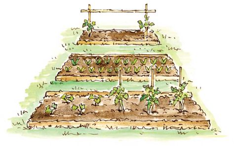 ELAYNE SEARS  Simple, low-cost framing can be made for your permanent vegetable beds using logs or recycled cedar fence rails. Leaving the ends open makes it easier to use a tiller to prepare seed beds.    Read more: http://www.motherearthnews.com/multimedia/image-gallery.aspx?id=2147498850=1#ixzz26w0Ztt00 Guerilla Gardening, Vege Garden, Gardening Club, Building Garden, Mother Earth Living, Starting Seeds, Food Gardening, Growing Strong, Vegetable Garden Planning