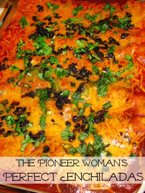 Pioneer Woman Perfect Enchiladas- Hot and bubbly and amazingly delicious! These beef enchiladas are from The Pioneer Woman on Food Network. Pioneer Women Beef Enchiladas, Six Sisters Enchiladas, Pioneer Woman Curry In A Hurry, Pioneer Woman Enchilada Casserole, Pioneer Woman Lazy Red And Green Enchiladas, Pioneer Woman Cheese Enchiladas, Enchilada Skillet Pioneer Woman, Sheet Pan Enchiladas Pioneer Woman, Best Ever Enchiladas