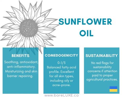 Sunflower Oil Benefits Skin, Sunflower Oil For Skin, Benefits Of Sunflower Oil, Sunflower Oil Benefits, Facial Oils, Oil For Skin, Face Oils, February Nails, Cosmetics Ingredients