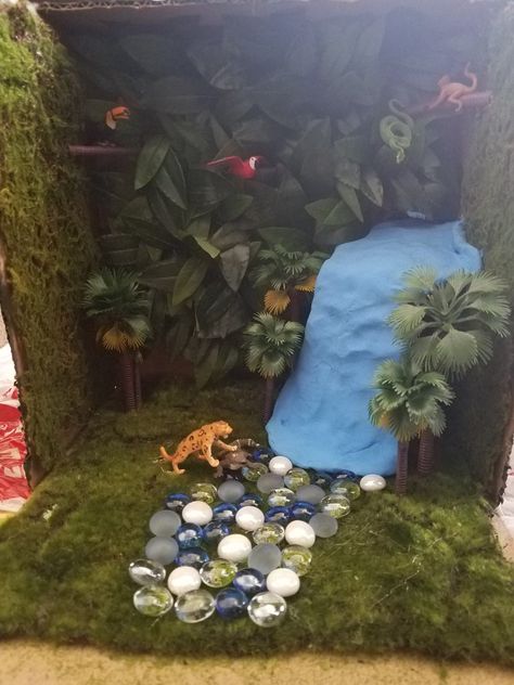 Jaguar habitat diorama Cheetah Habitat Diorama, Jaguar Diorama, Sloth Habitat, Jaguar Habitat, First Grade Projects, Continents Activities, Rainforest Project, Ecosystems Projects, Diorama Kids